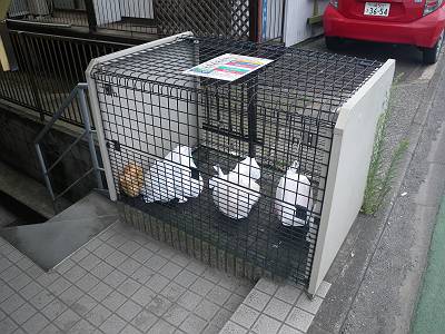 プランタン多摩川その他共用部分