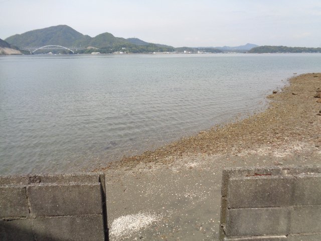 売地（大矢野町登立/四郎丸）事業用地外観