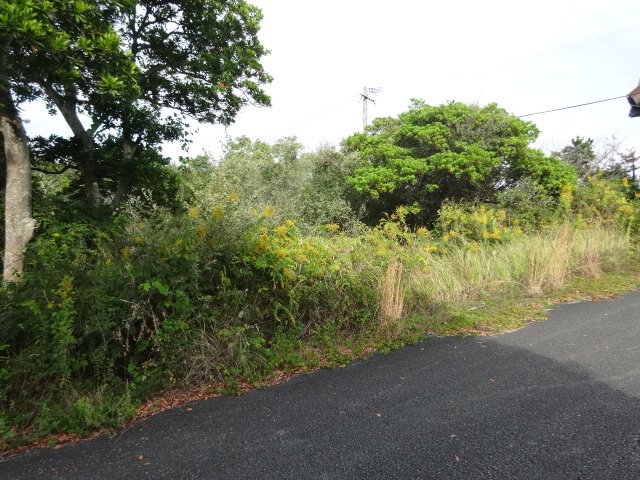 売地（大矢野町上/マリンヴィラ弓ヶ浜）外観