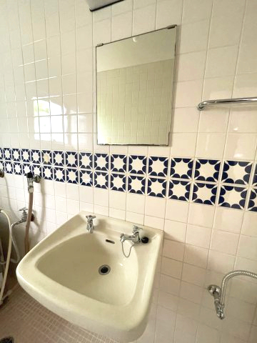 ルシエール東村山 101洗面所