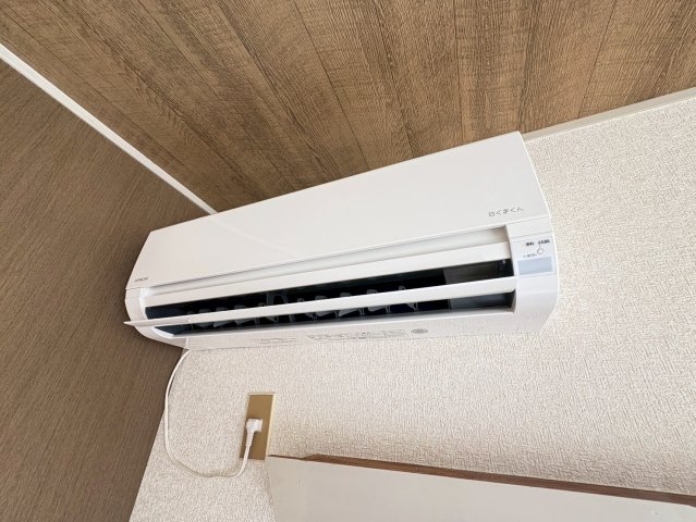 ウッドストック 201その他