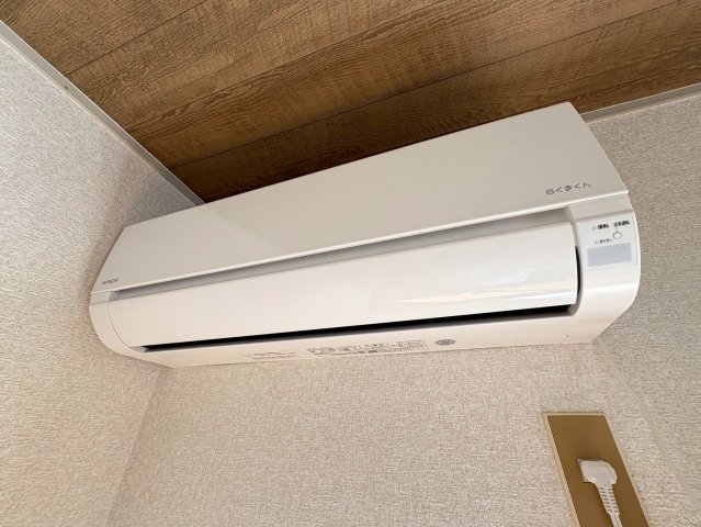 ウッドストック 205その他