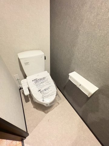 Maison Rai-On 302トイレ