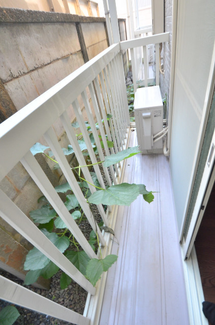 シャトル熊野町Ⅱ 1階バルコニー