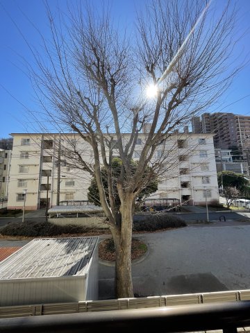 第五志伊ビル 2階展望