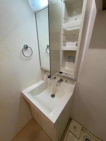 ポラールノースウィング 2階洗面所