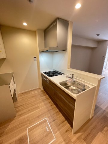 S-Court Oyaguchi 103キッチン