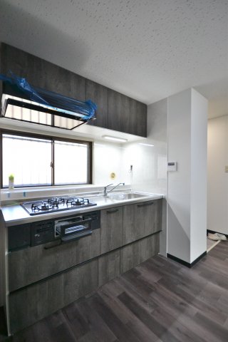 パレスモトハシ 105キッチン