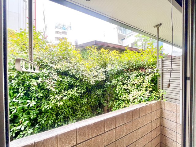 アクシス大山 1階展望