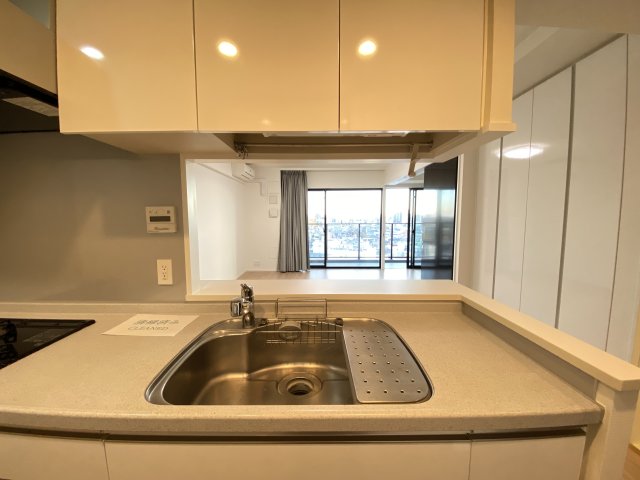 スカイティアラウエスト 15階その他