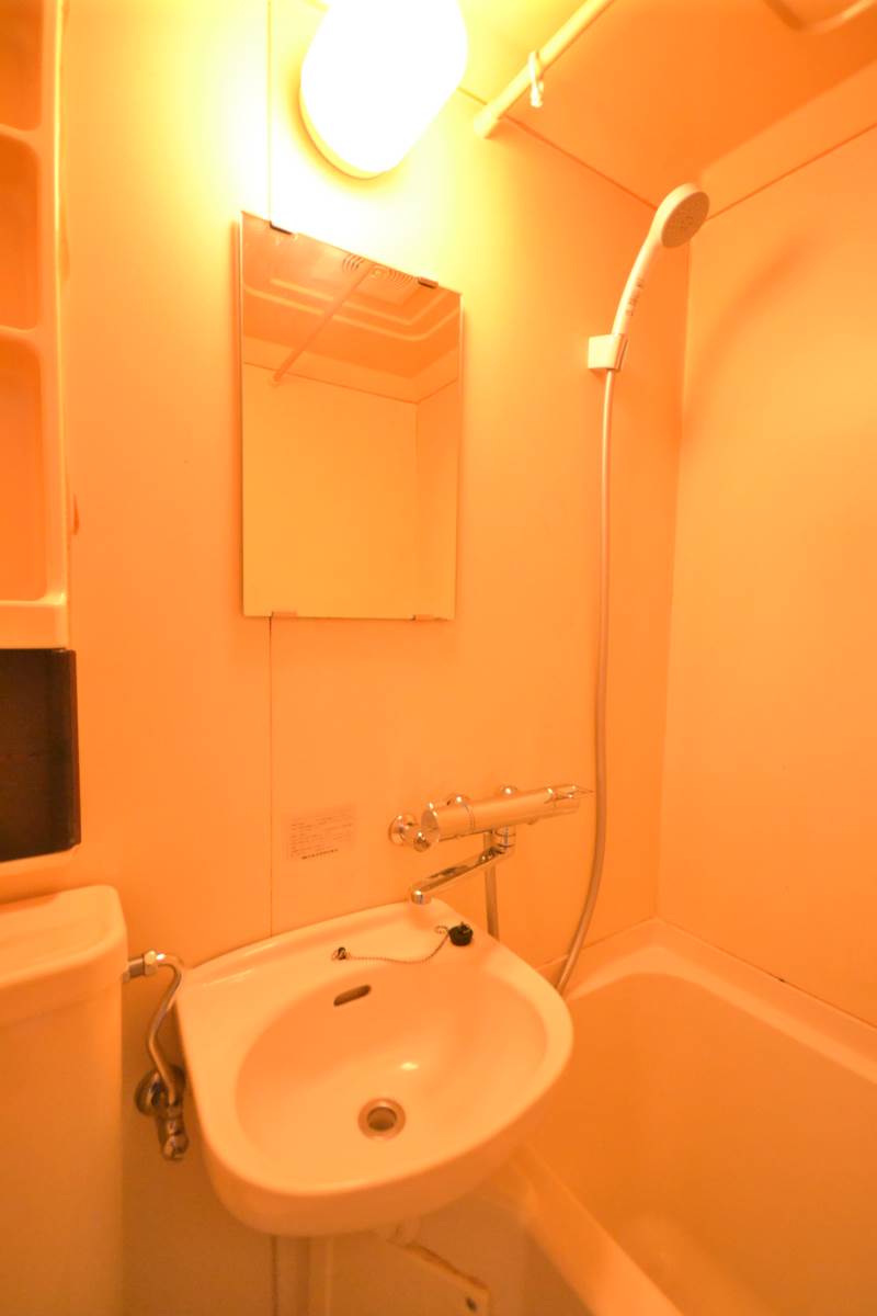 スカイピア蓮根 2階洗面所