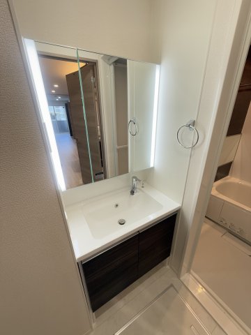 セレスティア小豆沢 1階洗面所