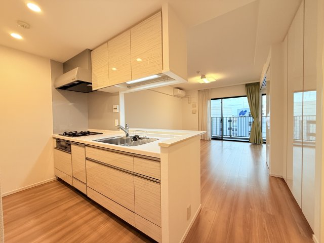 スカイティアラウエスト 10階その他