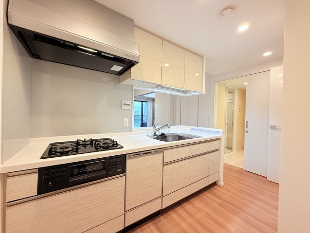 スカイティアラウエスト 10階キッチン