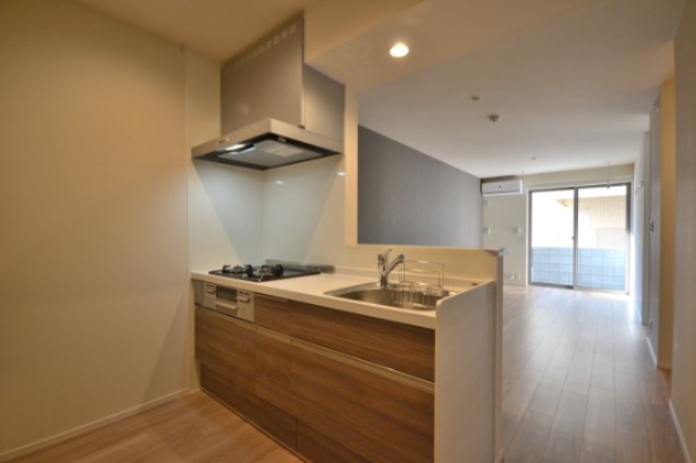 ココリュミエ 201キッチン