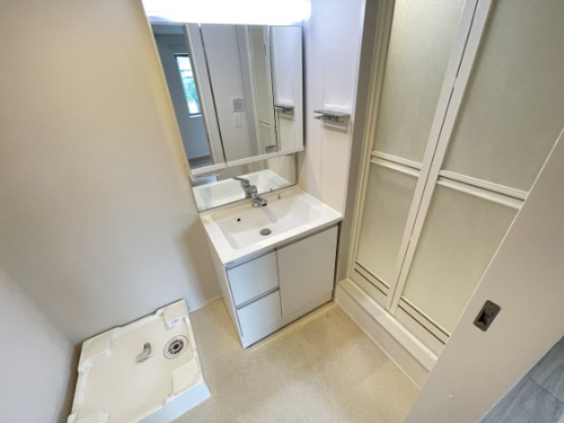 ココリュミエ 201洗面所