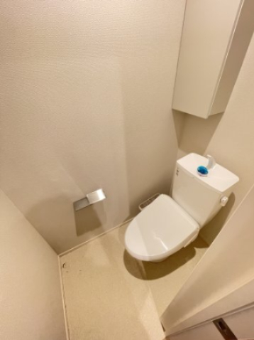 ココリュミエ 201トイレ