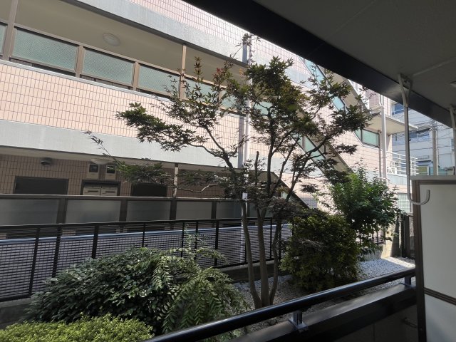 パルティーダ 1階展望