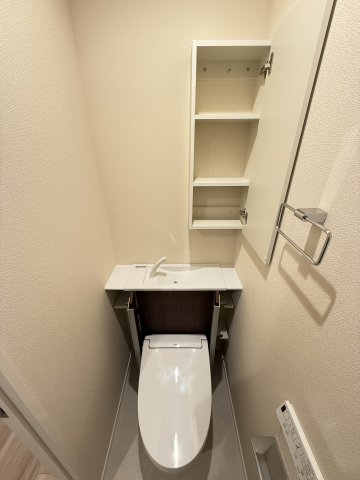 グランベルデ 303トイレ
