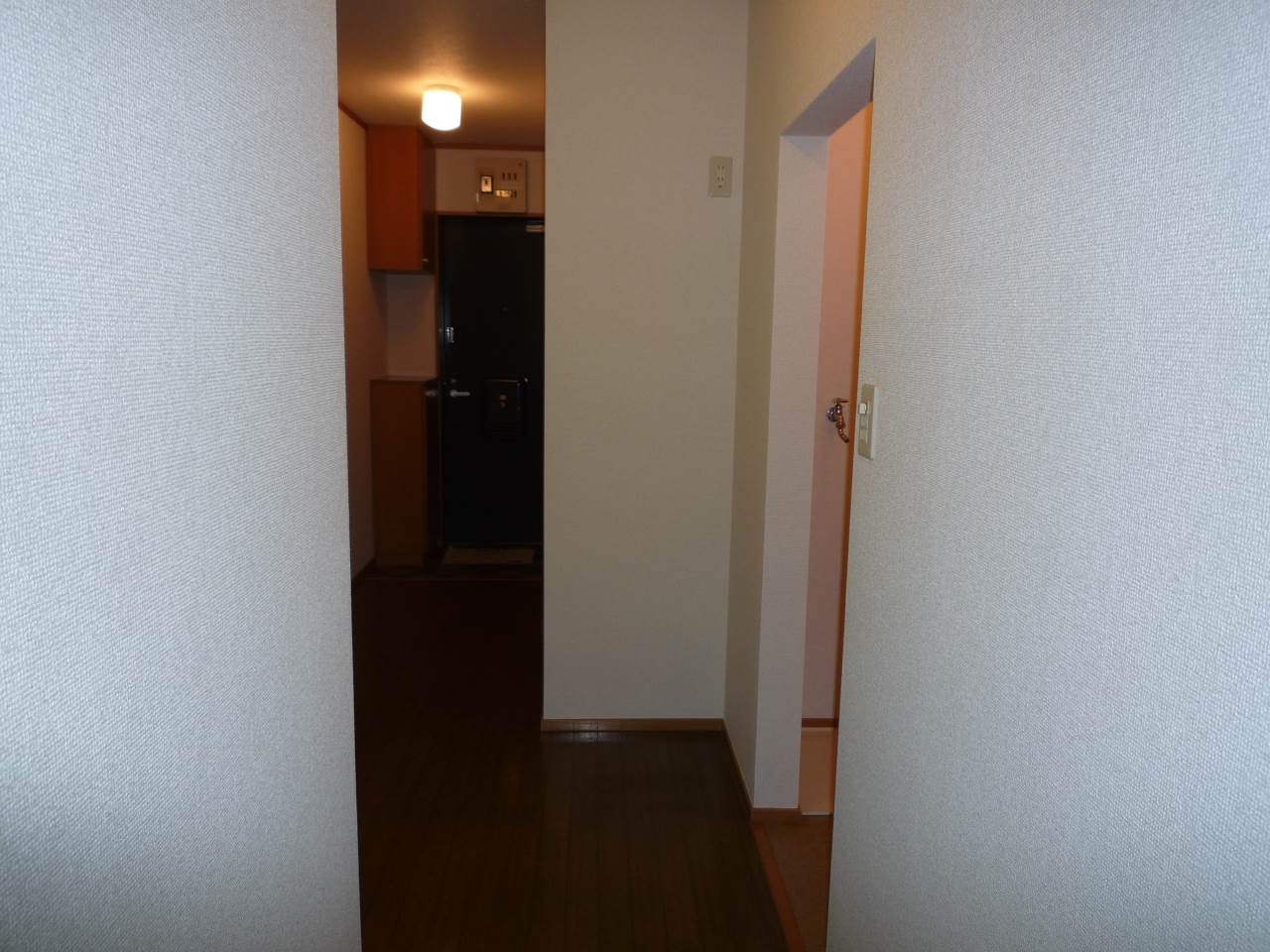 ＳＫヒルズⅡ 1階その他