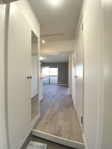 メトロサイド 403玄関