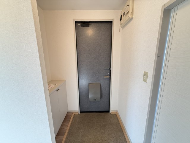 グリーンパークはやのA 201玄関