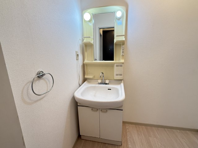 グリーンパークはやのB 202洗面所