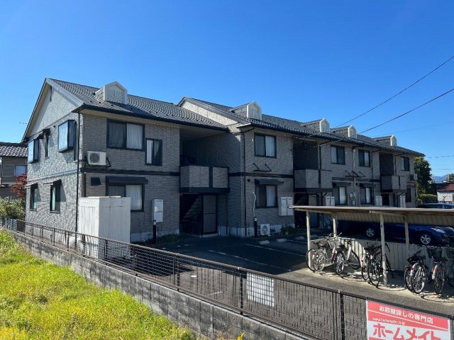 ミレニアムKN 205展望