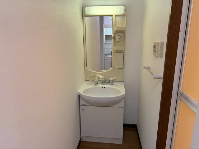 グレートマンションAM 302洗面所