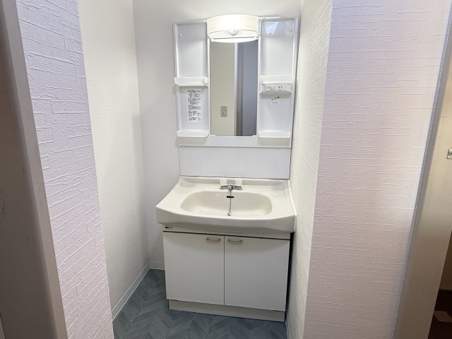 コーラスライン 201洗面所