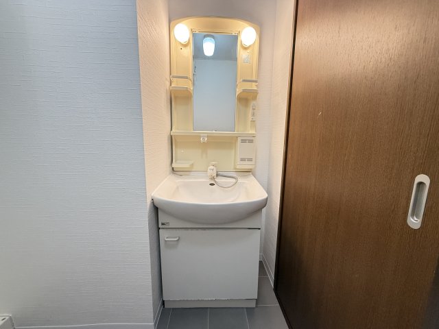 アメニティパークC 301洗面所