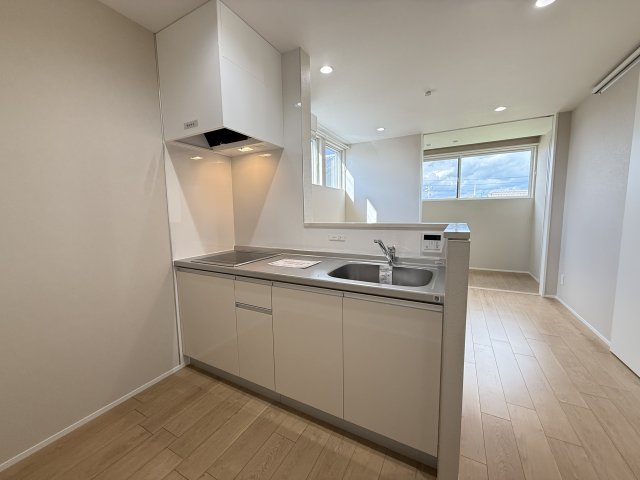 INTEGRAL ARAO 201キッチン