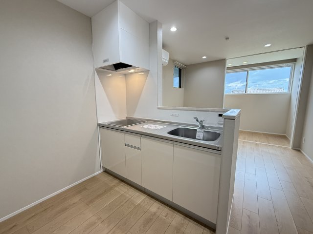 INTEGRAL ARAO 202キッチン