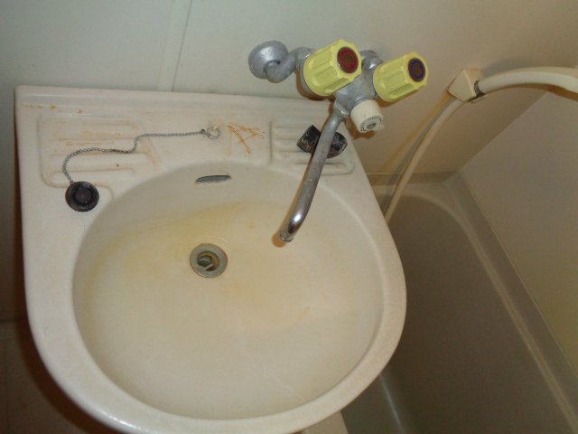 テラスみすみ 101洗面所