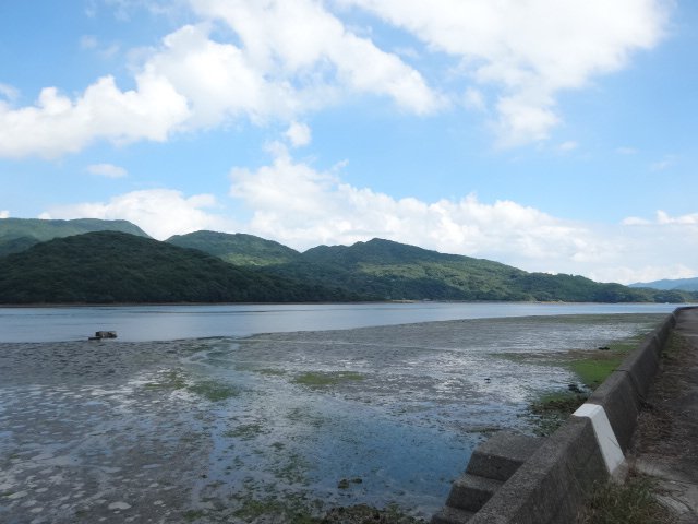 売地（天草市倉岳町/棚底） その他