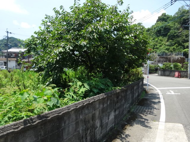 売地（上天草市姫戸町/姫浦） 前面道路含む現地写真