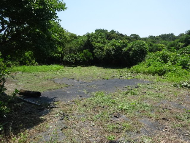 売地（上天草市松島町合津/永浦島） 外観
