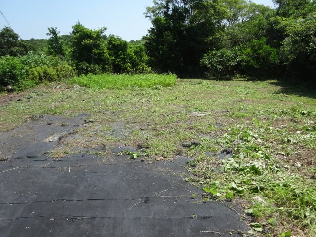 売地（上天草市松島町合津/永浦島） 外観